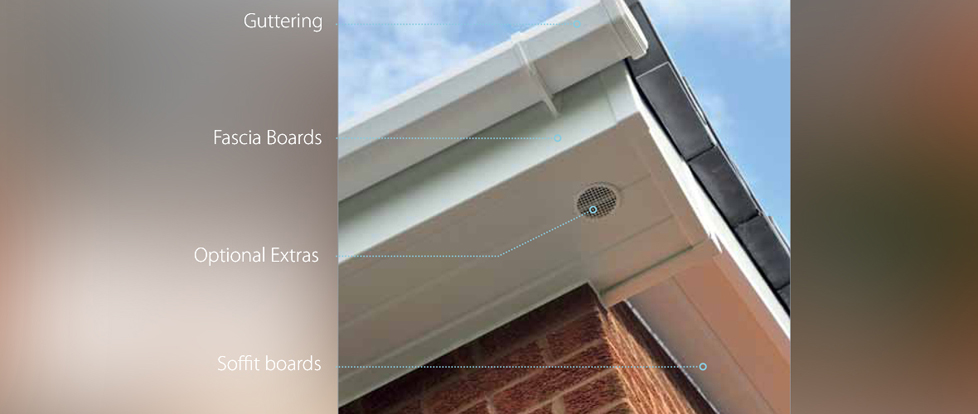 fascia